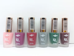 Christine Matte Nail Polish ( Pack Of 6)